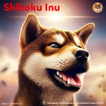 SHIKOKU INU DAO 12