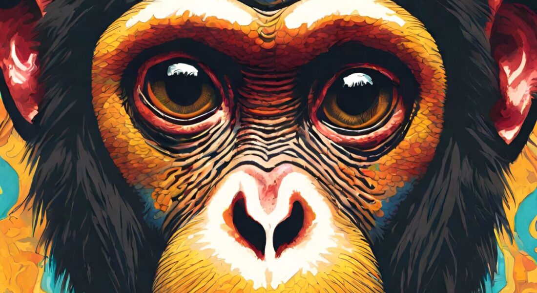 Crypto Monkey 13