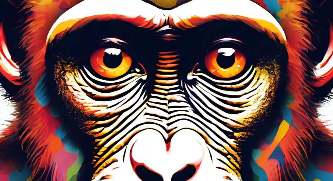 Crypto Monkey 24